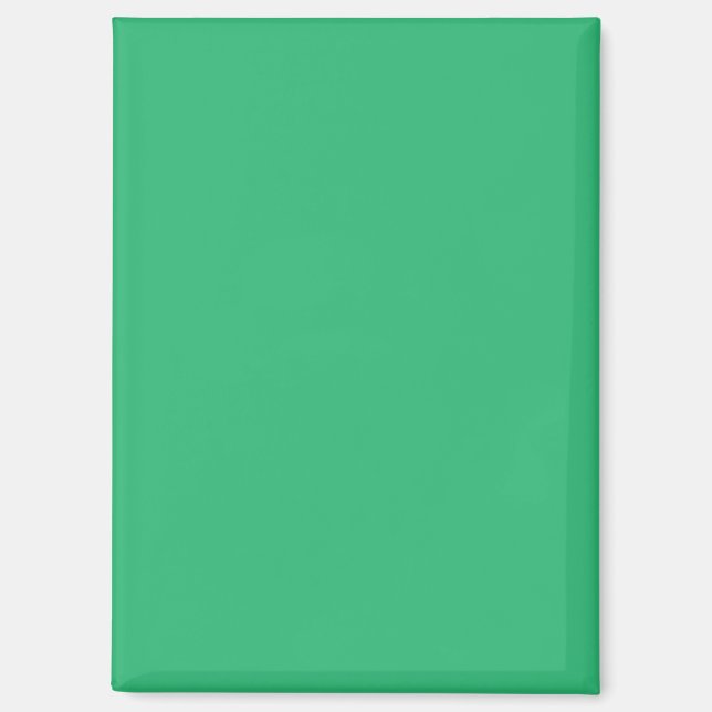 Flat Mint Green Texture Background for Design Magnet (Front)