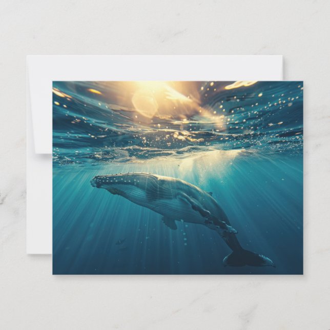 Flat Note Card (Front)