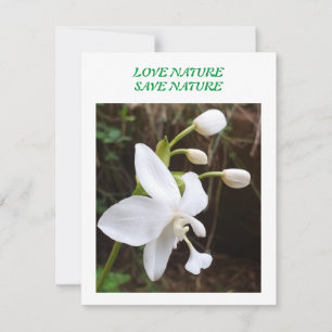 Flat Note Card - environment related announcement