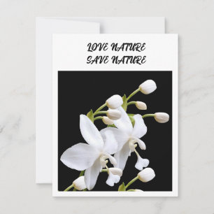 Flat Note Card - environment related announcement