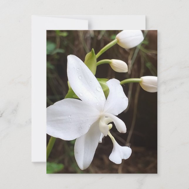 Flat Note Card - environment related announcement (Front)