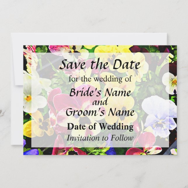 Flat of Pansies Mixed Colours Save the Date (Front)