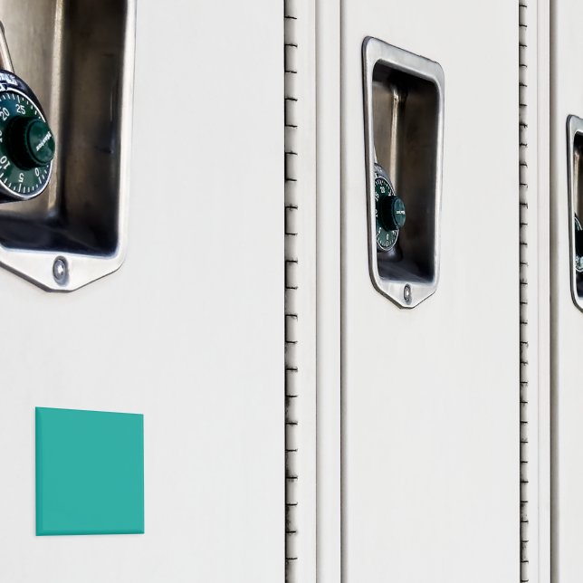 Flat Teal Background Texture  Magnet (In Situ (Locker))