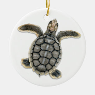 Flatback Sea Turtle Ornament