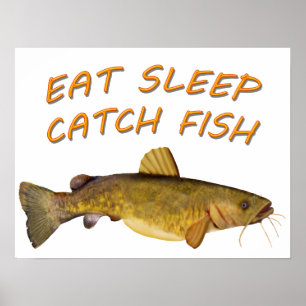 Flathead Catfish Poster