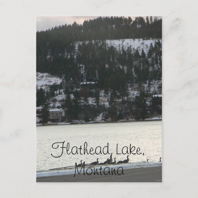 Flathead Lake , Montana Postcard (Front)