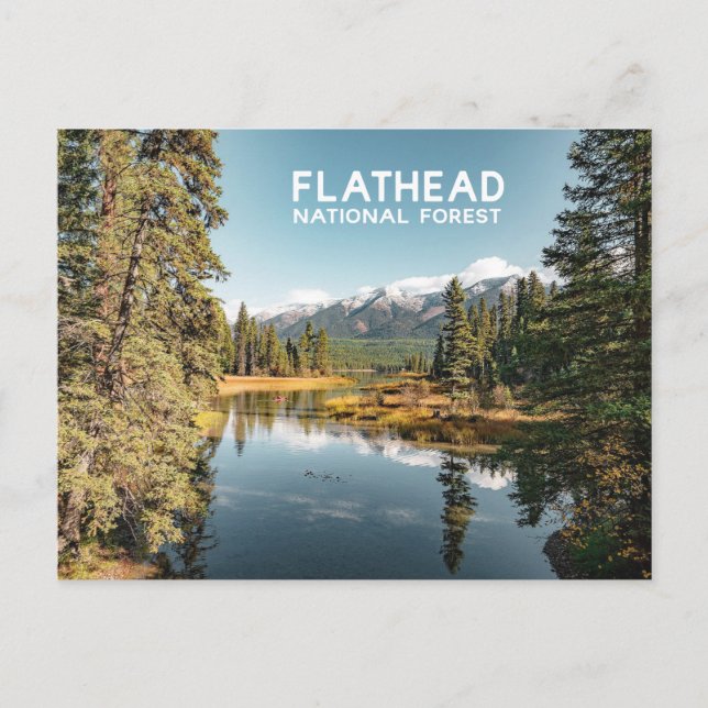 Flathead National Forest Montana Lake Photo Postcard (Front)
