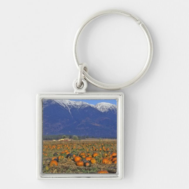 Flathead Valley Montana Pumpkin patch Key Ring (Front)