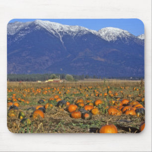 Flathead Valley Montana Pumpkin patch Mouse Pad