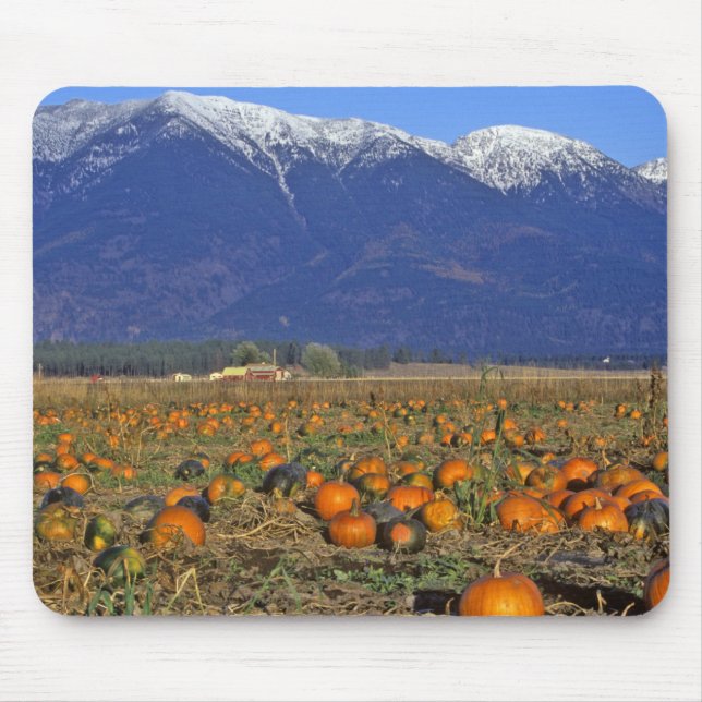 Flathead Valley Montana Pumpkin patch Mouse Pad (Front)