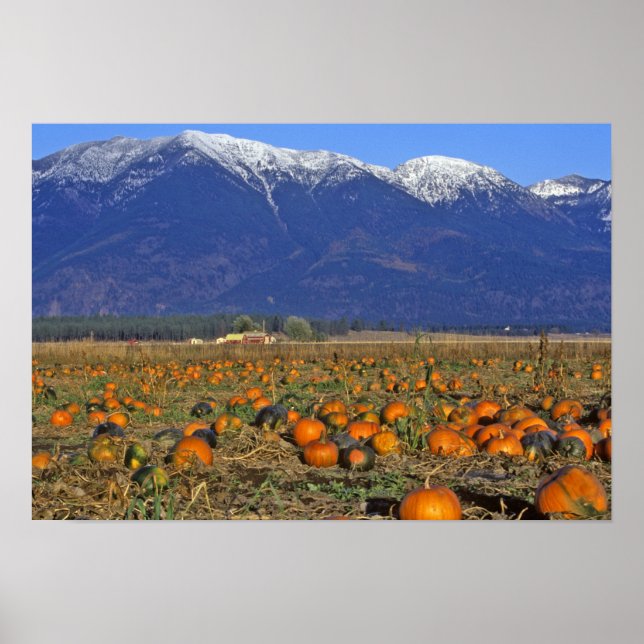 Flathead Valley Montana Pumpkin patch Poster (Front)
