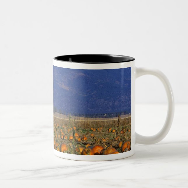 Flathead Valley Montana Pumpkin patch Two-Tone Coffee Mug (Right)