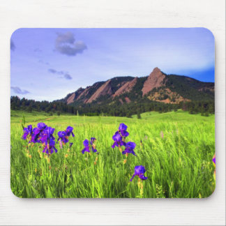 Flatiron Beauty Mouse Pad