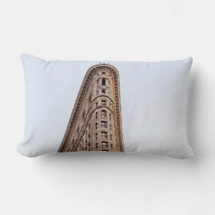 Flatiron building  lumbar cushion