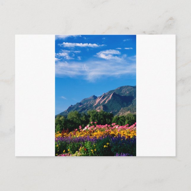 Flatirons and Flowers, Boulder Colorado Postcard (Front)