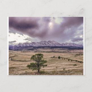 Flatirons at Sunset Postcard