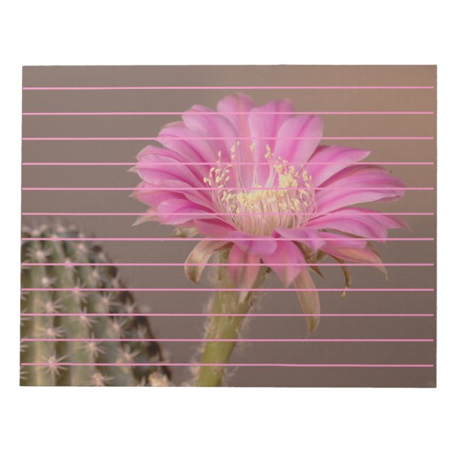 Flatty cake blooms notepad (Front)