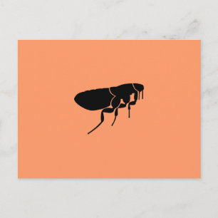 Flea Postcard