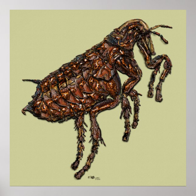 Flea Poster (Front)