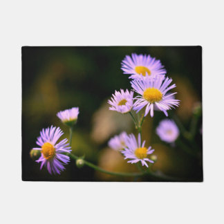 fleabane daisy doormat