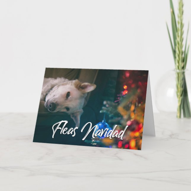 Fleas Navidad Funny Christmas  - YOUR DOG PHOTO Card (Front)