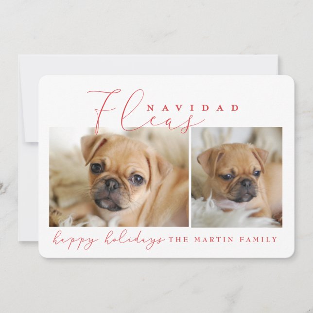 FLEAS NAVIDAD HOLIDAY CARD (Front)