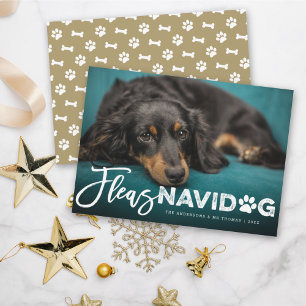 Fleas Navidog Brush Dog Lover Holiday Photo Card