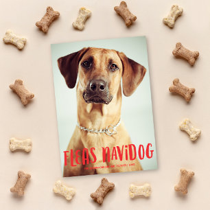 Fleas Navidog Cute Funny Dog   Holiday Photo Card