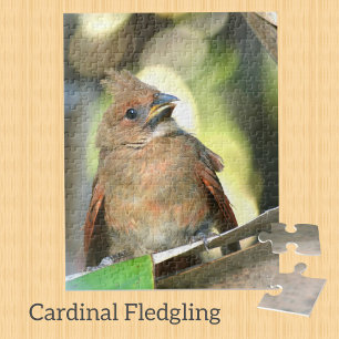 Fledgling Cardinal Baby Bird Photographic Jigsaw Puzzle