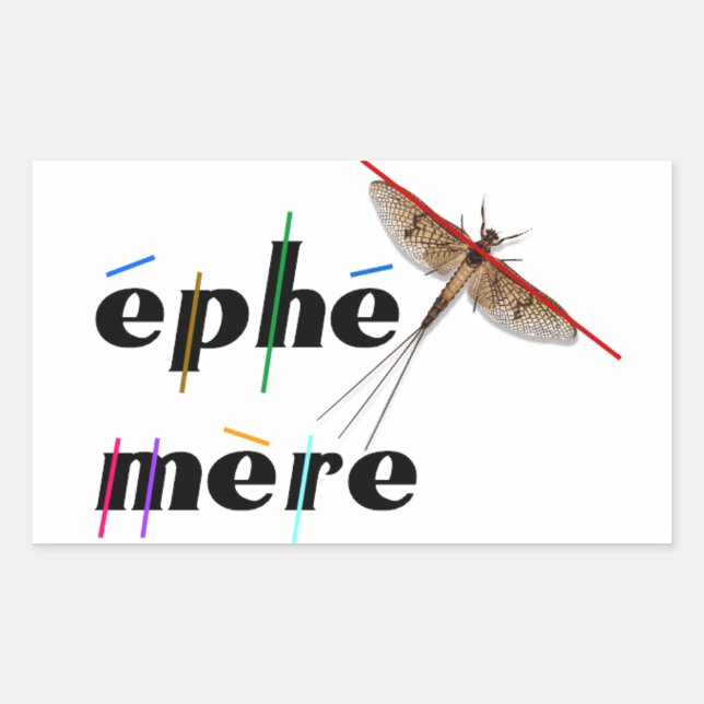 fleeting instant rectangular sticker (Front)
