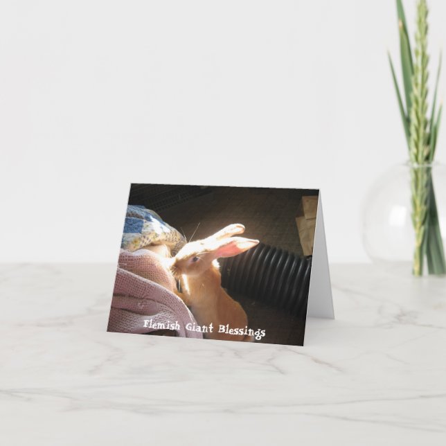 Flemish Giant Blessings Notecards (Front)