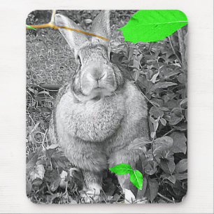 Flemish Giant Rabbit B & W with Green Leaves Mouse Pad