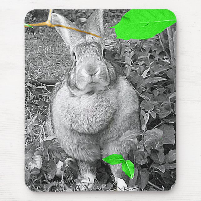 Flemish Giant Rabbit B & W with Green Leaves Mouse Pad (Front)