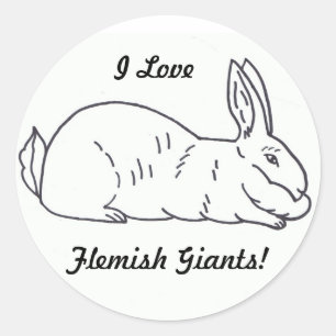Flemish Giant Rabbit Sticker