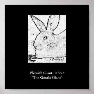 Flemish Giant Rabbit"The Gentle Giant" Poster