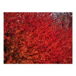 "Flesh and Bone" Photo Print