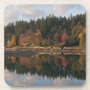 Fletcher Bay Coaster