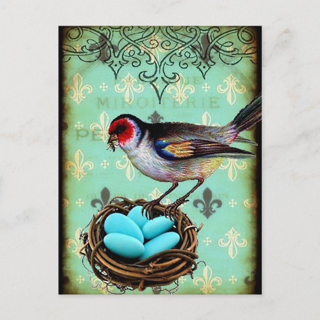 Fleur Di Lis Bird Nest Shabby Chic Postcard (Front)