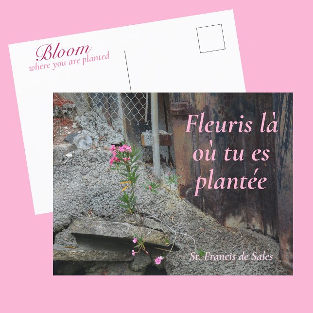 Fleuris là où tu es plantée Pink Floral Postcard (Creator Uploaded)