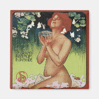 Fleurs de Mousse