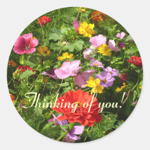 Fleurs des champs classic round sticker