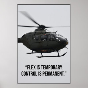 Flex Is Temporary Control Is Permanent Quote Poster