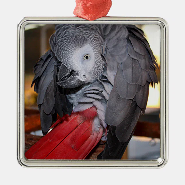 Flexible Congo African Grey Parrot with Red Tail Metal Tree Decoration ...