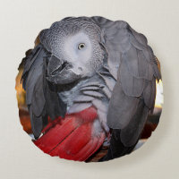 Flexible Congo African Grey Parrot with Red Tail