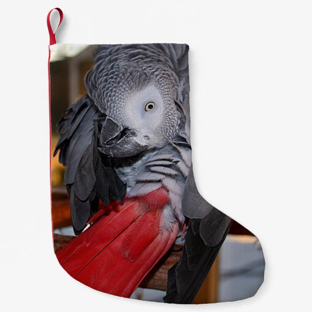 Flexible Congo African Grey Parrot with Red Tail Small Christmas Stocking (Front)