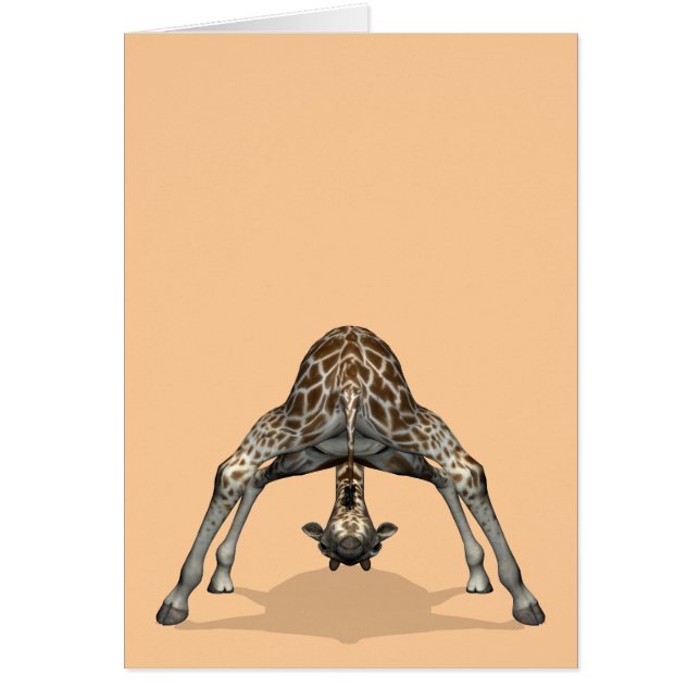 Flexible Giraffe (Front)