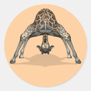 Flexible Giraffe Classic Round Sticker