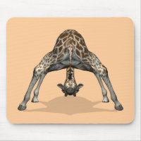 Flexible Giraffe