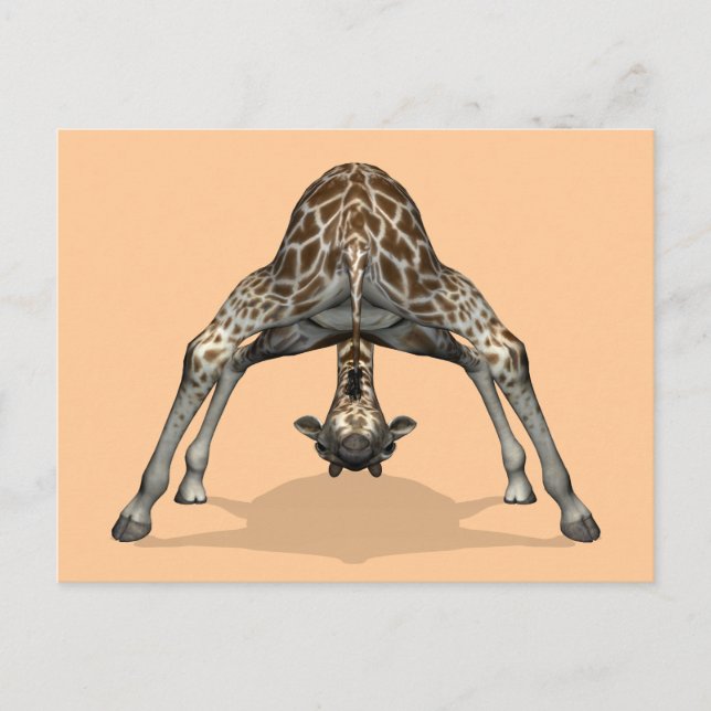 Flexible Giraffe Postcard (Front)