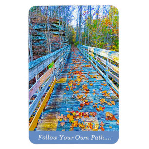 Flexible Magnet Follow Your Own Path